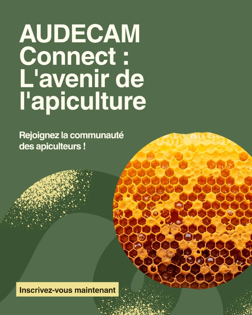 AUDECAM Organisation